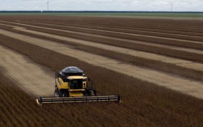 ¿Podemos alimentarnos solo de cultivos locales?