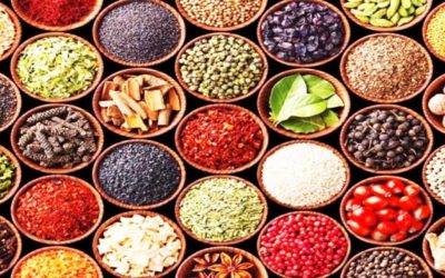 Redobla esfuerzos industria semillera para garantizar abasto