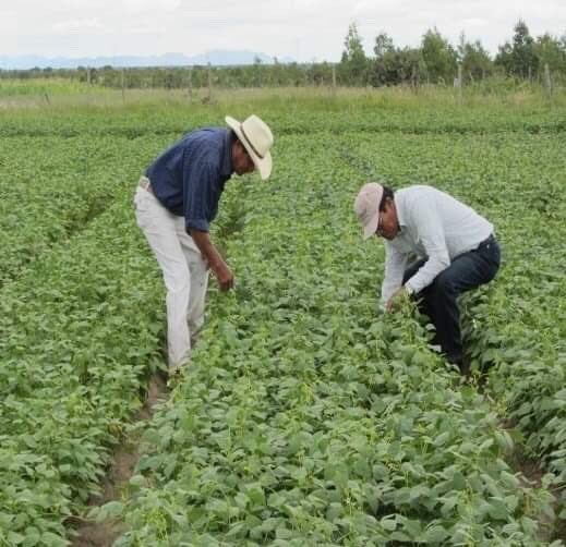 Tecnología para el campo mexicano