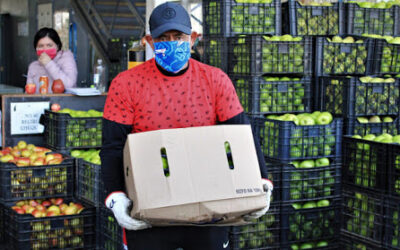 Evalúan Agricultura, BID y FAO reactivación de sistemas agroalimentarios en América ante los efectos del COVID-19