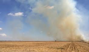 Estrategia #MiParcelaNoSeQuema para reducir las quemas agropecuarias y brindar opciones sostenibles en el campo