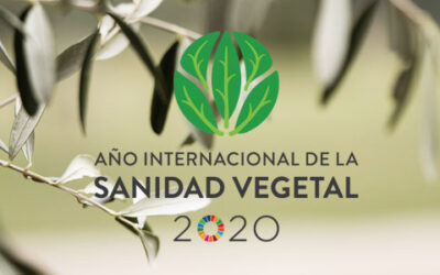 Sanidad Vegetal: “Proteger las plantas, proteger la vida”
