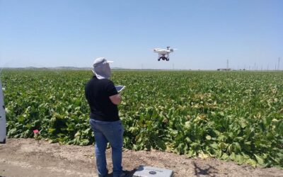 Cultivos más sostenibles con imágenes térmicas