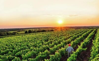 Escuela de Agricultura