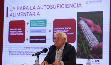 Estima Agricultura crecimiento en la producción de granos básicos en 2020, como parte de la estrategia de seguridad alimentaria para el país
