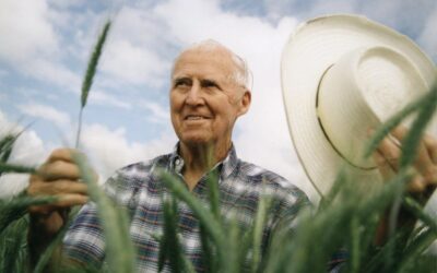 Mejoramiento genético del trigo, de México para el mundo