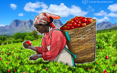 El uso de la Blockchain para el sector agrícola. Caso Latinoamérica