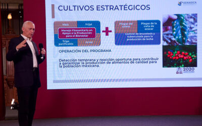 Tecnología y sanidad, claves para la transformación del campo mexicano: Agricultura