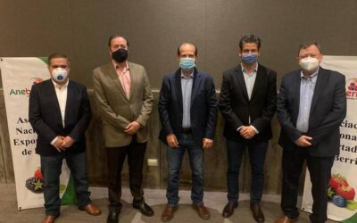 Exportaciones de berries mexicanas continúan creciendo, incluso durante la pandemia