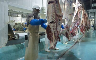 Prepara Agricultura a ganaderos de Zacatecas para exportar carne de res a China