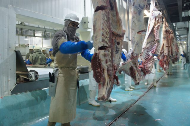 Prepara Agricultura a ganaderos de Zacatecas para exportar carne de res a China