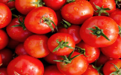 Pide CNA respuesta ante posible estacionalidad de EE.UU.