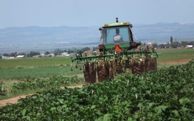 Apoyarán con 87.1 mdp a productores