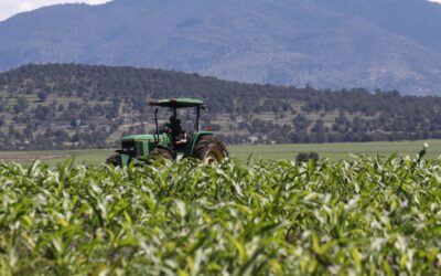 Logra México balanza comercial favorable en productos agroalimentarios: Sader