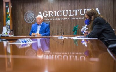 Se tomarán medidas para garantizar seguridad alimentaria en América