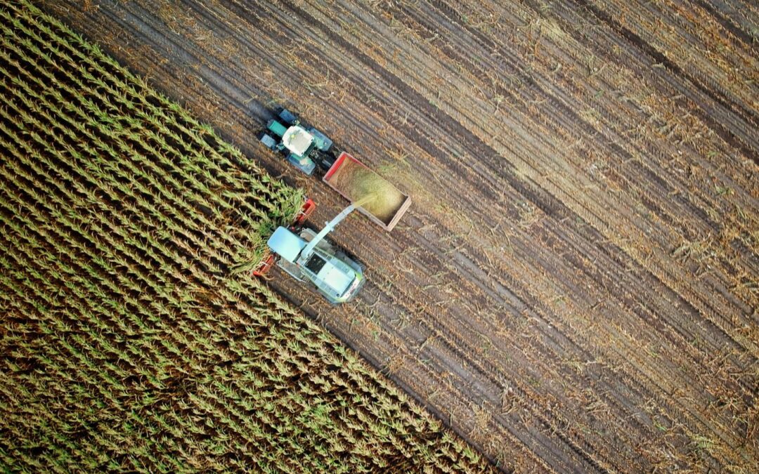 Construir un futuro con agricultura digital