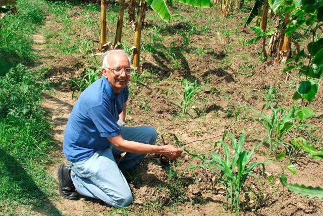 Mantener el suelo cubierto, un consejo del ‘nobel de agricultura’