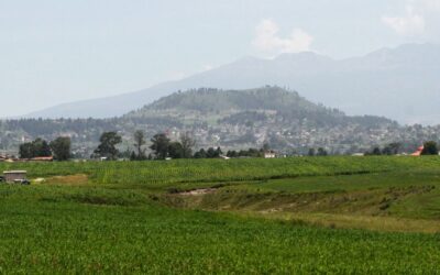 Virus eleva interés por los robots agrícolas