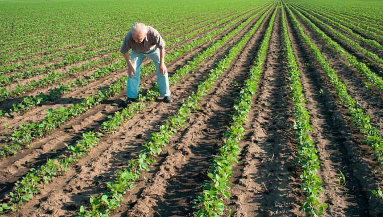 Superávit agro de México con EU, en récord