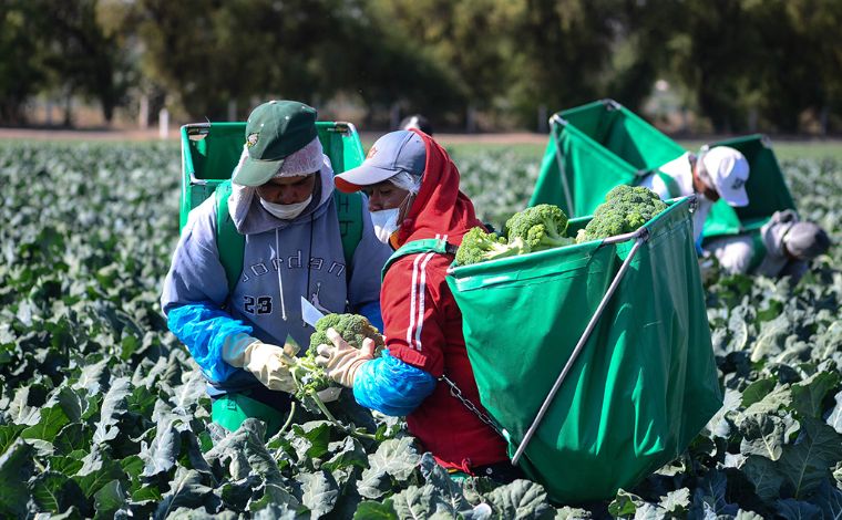 EU analiza imponer sanciones a importaciones agrícolas de México