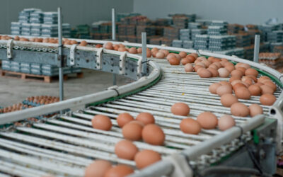 LA PANDEMIA DE COVID-19 AMENAZA LA SEGURIDAD ALIMENTARIA GLOBAL