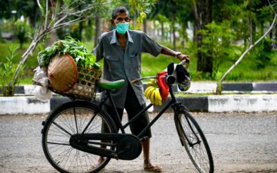 Indonesia creará áreas agrícolas gigantes para asegurar autonomía alimentaria