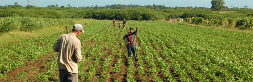 CNA PLANTEA LA NECESIDAD DE UN INCREMENTO DE 58% PARA EL PRESUPUESTO DE LA SADER EN 2021