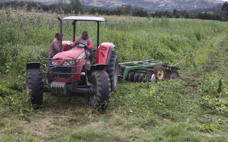 Quiere Sader operar programa productivo, en Tlaxcala