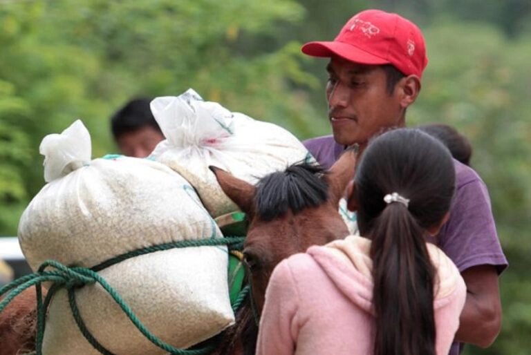 Agricultura fortalece inocuidad de granos en centros de acopio de pequeña y mediana escala