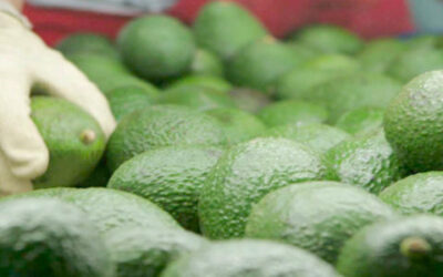 Firman convenio para financiar a productores agropecuarios