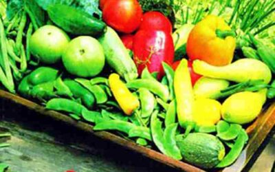 ALMACENAMIENTO POSCOSECHA AFECTA CALIDAD DE LAS FRUTAS