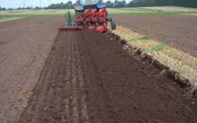 LA AGRICULTURA DE CONSERVACIÓN OFRECE REMEDIOS PARA EL SUELO CANSADO
