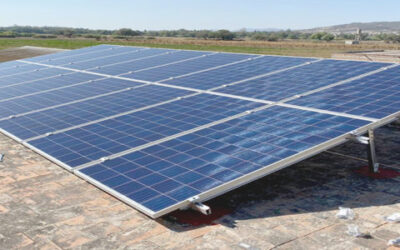 Ya produce Jalisco agroalimentos con energía renovable