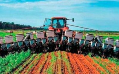 SIN FIDEICOMISOS, EL SECTOR AGROALIMENTARIO PERDERÍA 12,957 MDP