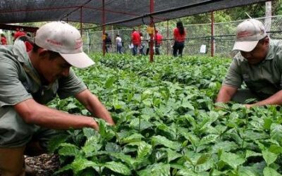 DESMANTELAMIENTO DE LA SADER ATENTA CONTRA LA AUTOSUFICIENCIA ALIMENTARIA: CNA
