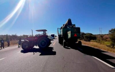 Productores exigen aumentar 30% el precio de garantía del frijol