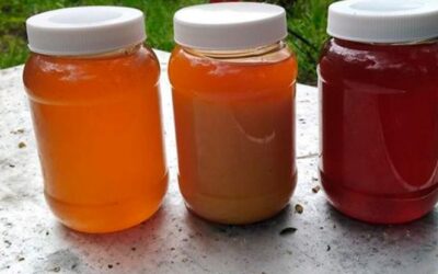 Pequeños productores de Oaxaca, preocupados por prohibición del plástico