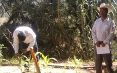 RESCATAN PRÁCTICAS ORGANIZATIVAS PARA AUMENTAR LA RENTABILIDAD AGRÍCOLA