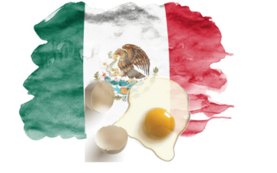 México abre mercado para huevos producidos en Brasil