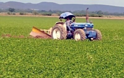 Agricultura puede evitar una pandemia más grave que el covid: el hambre