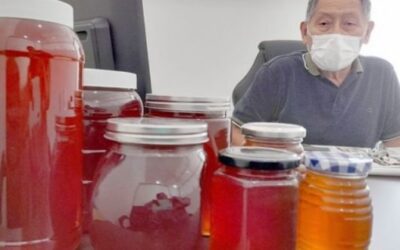 Industria de la miel deja 118 millones de pesos en Champotón