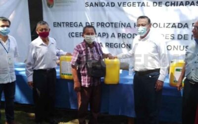 Garantizan mayor protección a la sanidad vegetal