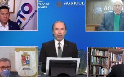 EL SECTOR AGROALIMENTARIO SERÁ EL MOTOR PARA LA RECUPERACIÓN ECONÓMICA EN LA POSPANDEMIA