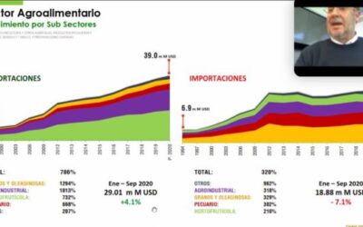 Incrementó producción de semilla certificada de los principales cultivos de granos en el país: Agricultura