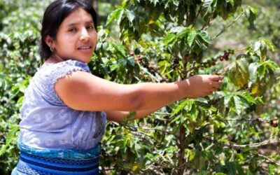 Demandan programa de inversión en infraestructura y maquinaria para el campo