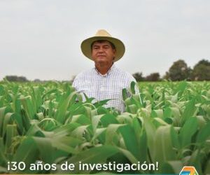 Investigador mexicano gana premio internacional por su aportación para aumentar la producción de maíz