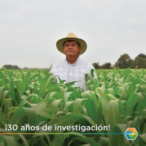 Investigador mexicano gana premio internacional por su aportación para aumentar la producción de maíz
