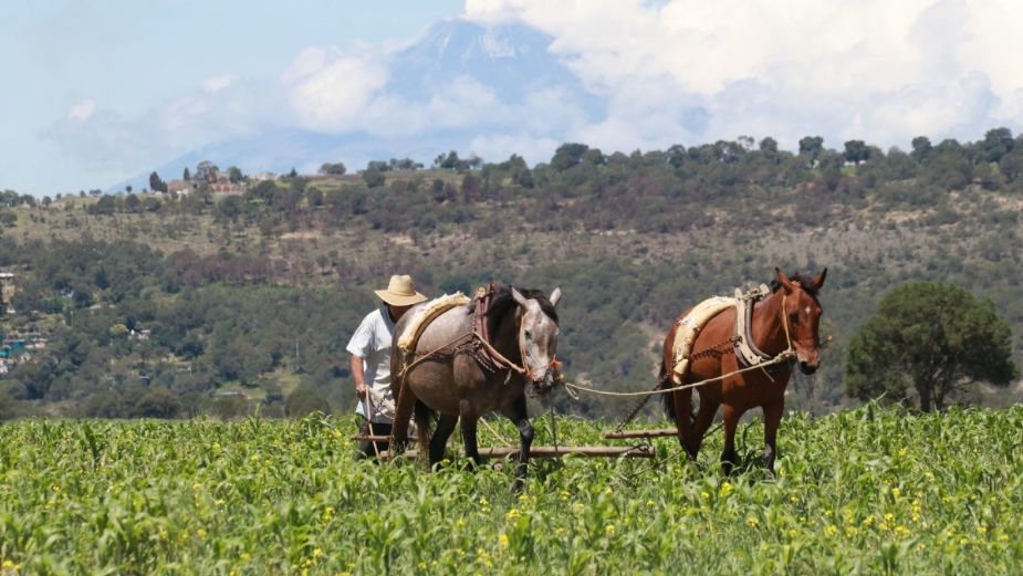 Promueve México la práctica de una agricultura rentable, responsable y resiliente