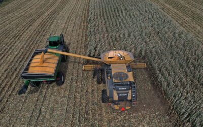 El maíz sigue subiendo