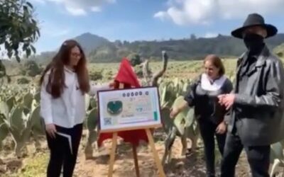 CRECE EN MÉXICO EL CONSUMO Y PRODUCCIÓN DE NOPAL: AGRICULTURA